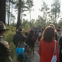Reflorestação no Parque da Biodiversidade