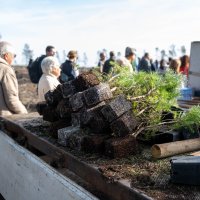 Reflorestação no Parque da Biodiversidade