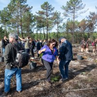 Reflorestação no Parque da Biodiversidade