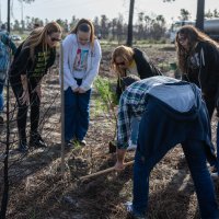 Reflorestação no Parque da Biodiversidade