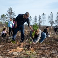 Reflorestação no Parque da Biodiversidade