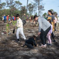Reflorestação no Parque da Biodiversidade