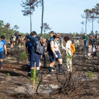 Reflorestação no Parque da Biodiversidade