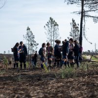 Reflorestação no Parque da Biodiversidade
