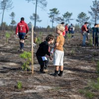 Reflorestação no Parque da Biodiversidade