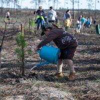 Reflorestação no Parque da Biodiversidade