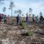 Reflorestação no Parque da Biodiversidade