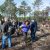 Reflorestação no Parque da Biodiversidade