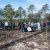 Reflorestação no Parque da Biodiversidade