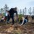 Reflorestação no Parque da Biodiversidade
