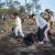 Reflorestação no Parque da Biodiversidade