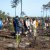 Reflorestação no Parque da Biodiversidade