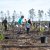 Reflorestação no Parque da Biodiversidade