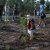 Reflorestação no Parque da Biodiversidade