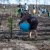Reflorestação no Parque da Biodiversidade