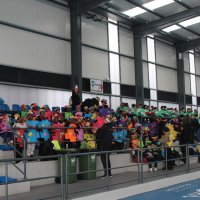 Desfile de Carnaval Escolar 2026