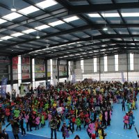 Desfile de Carnaval Escolar 2026