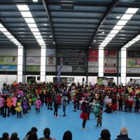 Desfile de Carnaval Escolar 2026