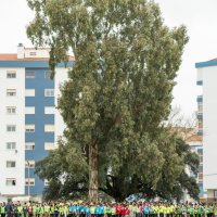 Duatlo Jovem de Amora 2026