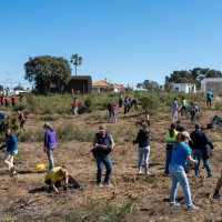 Ação de florestação em Belverde mobiliza entidades e reforça compromisso ambiental