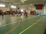 Desporto