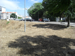 DesmatacaoEscSecManuelCarga