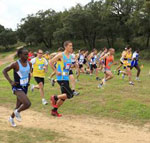 IV-Grande-Premio-de-Atletismo-da-Quinta-da-Princesa-corre-se-no-domingo
