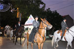 Cavalos_web